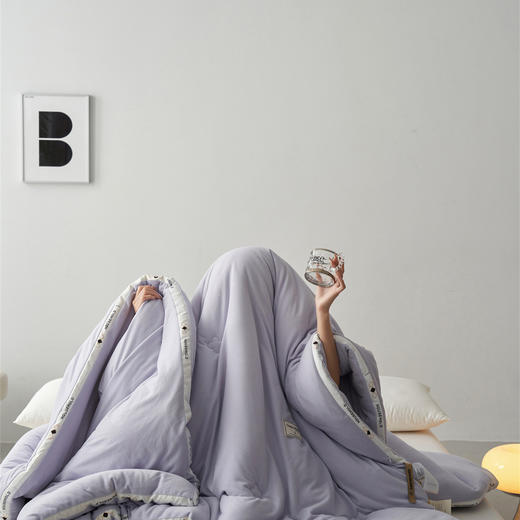 【三种厚度自由选择】超软糯A类德绒大豆被子 静音亲肤抗菌春秋被加厚冬被儿童被双人棉被 商品图0