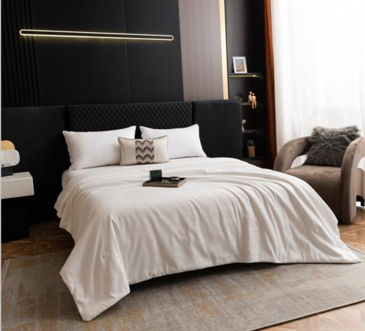 夏季雅致提花桑蚕丝被，轻盈透气，柔软舒适，让你美美哒入眠。 商品图1