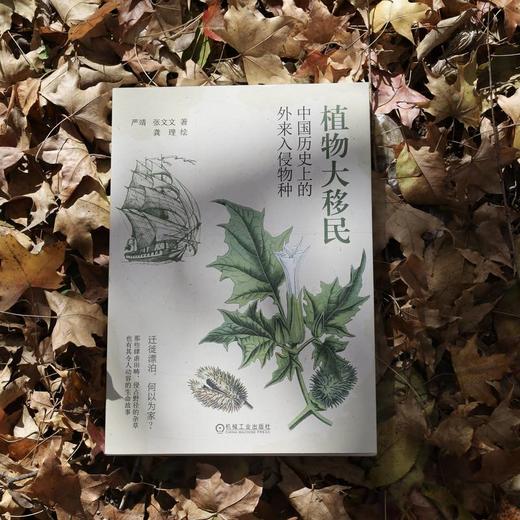 植物大移民:中国历史上的外来入侵物种 商品图2