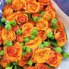 多头玫瑰花橙色芭比10支 商品缩略图0