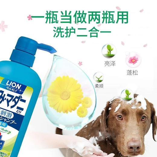 Lion狮王猫狗沐浴露祛蚤洗护二合一宠物香波330ml/瓶 商品图3