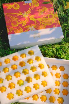 广西融安  脆蜜金柑