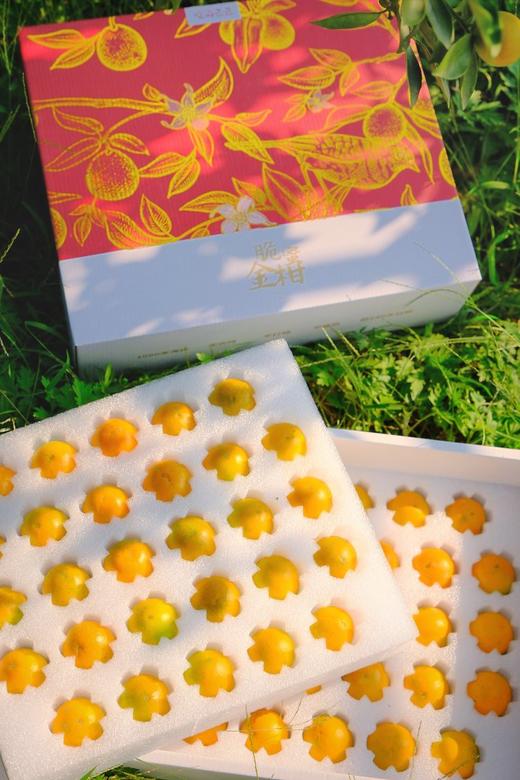 广西融安  脆蜜金柑 商品图0