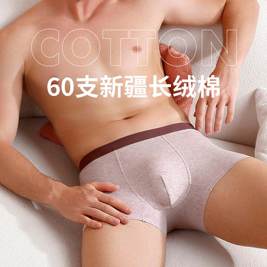 新疆长绒棉男士内裤  纯棉无痕内裤 60支A类婴儿棉 精品内裤独立无菌包装 商品图4