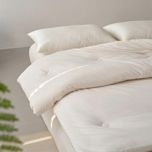 【三种厚度自由选择】超软糯A类德绒大豆被子 静音亲肤抗菌春秋被加厚冬被儿童被双人棉被 商品图6