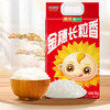葵花阳光金穗长粒香米5KG 商品缩略图0