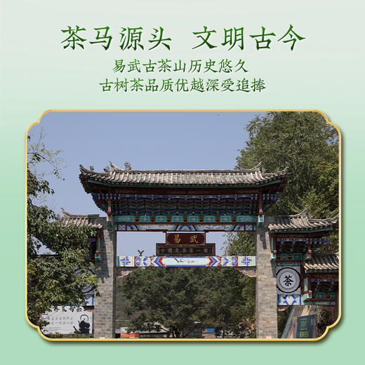 澜沧古茶2010年易武小饼云南名山古树普洱茶生茶罐装120g 商品图1