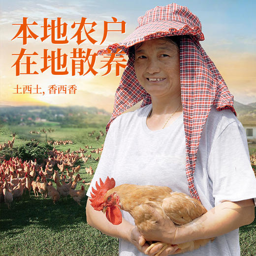 生熏鸡500g：要蒸22分钟的那款经典生熏鸡 商品图4