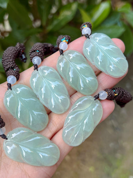 【直播大场福利】冰种晴水翡翠金枝玉叶 吊坠 含证书 随机发货 商品图3