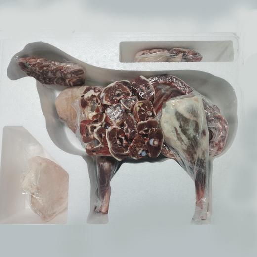 乌珠穆沁生态羊 |  草原散养 鲜嫩不膻  |  基地直发包邮* Mutton | Fair Trade 商品图3