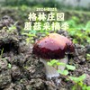 128元/人（大小同价）！格林庄园·蘑菇采摘季来啦！格林庄园吃玩一天！生态汤锅+采蘑菇、抓鸡捡蛋、植物寻宝、农业科普、拓印、非遗投壶、手工自制红薯饼！1米以下免票！周末、元旦、寒假通用 商品缩略图0