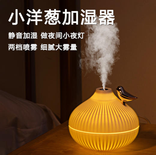【小礼物大作用！】细雾迷蒙，一片朦胧。小洋葱加湿器，简约大气，办公、家用车载皆宜。夜间小夜灯，营造浪漫氛围。开放式水箱，自在调节湿气！ 商品图0