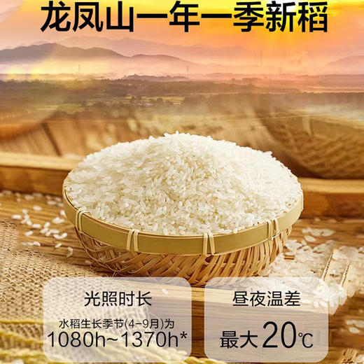大荒印象五常大米5kg 商品图5