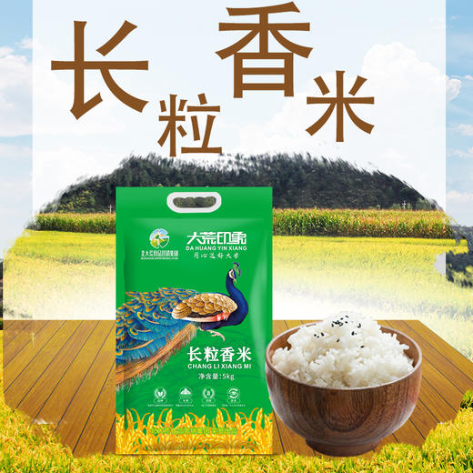 大荒印象长粒香米5kg袋装 商品图2