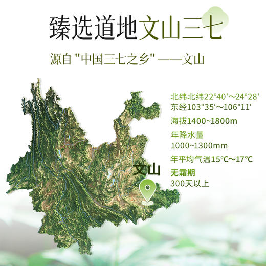 云南文山三七原浆 30ml*30条/袋  A-4873 商品图3