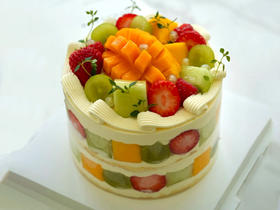 水果蛋糕XG13