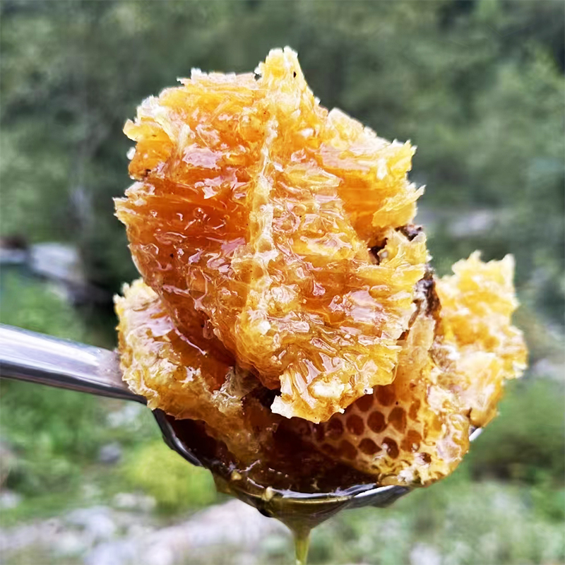 【西藏野生悬崖蜂蜜】西藏林芝察隅野生悬崖蜂蜜 零添加更健康