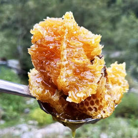 【西藏野生悬崖蜂蜜】西藏林芝察隅野生悬崖蜂蜜 零添加更健康