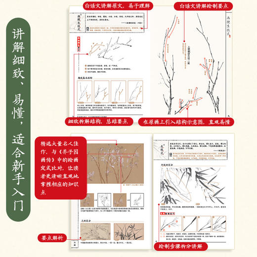 芥子园画传（全彩白话图解版）梅兰竹菊 国画*基础入门教程 国画小白自学 白描临摹画画描摹本 商品图3