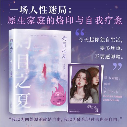 灼目之夏（TVB学霸演员、编剧吴沚默，继《风暴来的那一天》全新悬疑力作，全程高能反转！） 商品图0