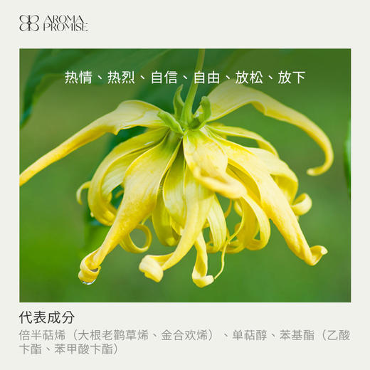 ”依兰依兰“精油 纵享欢愉，让爱在芬芳中绽放 商品图1