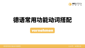 德语常用功能动词搭配第32讲 - vornehmen