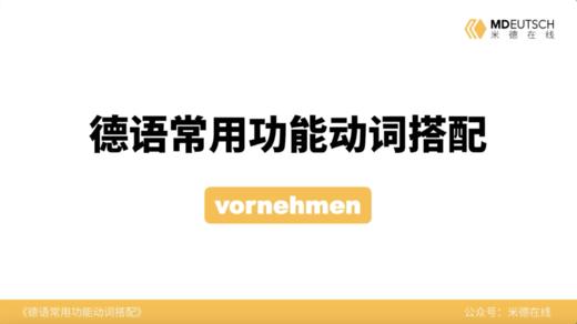 德语常用功能动词搭配第32讲 - vornehmen 商品图0
