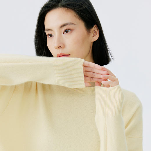 东黎 • 小山羊绒女士秋冬休闲圆领强缩绒工艺套头衫 2091 商品图7