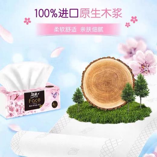 洁柔纸面巾（Face油画樱花软抽）90抽4层（16包装） 商品图2