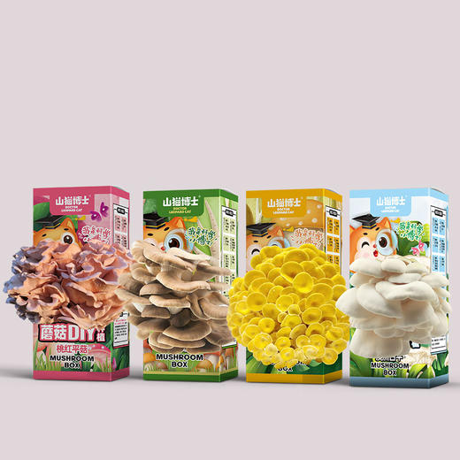 山猫博士DIY可食用蘑菇种植盒 商品图4