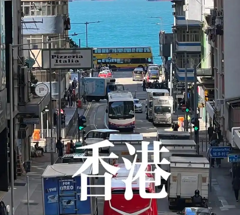 香港身份申请&续签优惠咨询预约卡