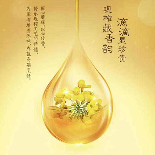 大荒印象小榨香菜籽油5L 商品图3