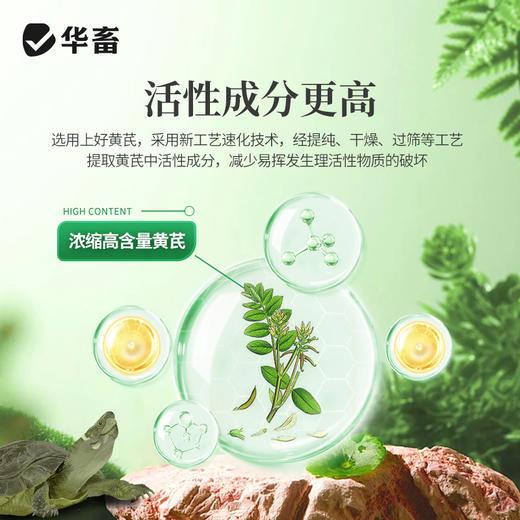 华畜黄芪多糖辅助治疗巴西草龟鳄龟感冒拉稀精神不好调理肠胃龟用 商品图4