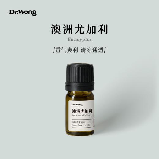 澳洲尤加利 单方精油  商品图0