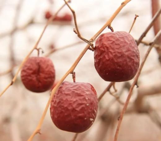 冬月吊干枣，自然农法定制一颗干净的枣，500克/袋 商品图1