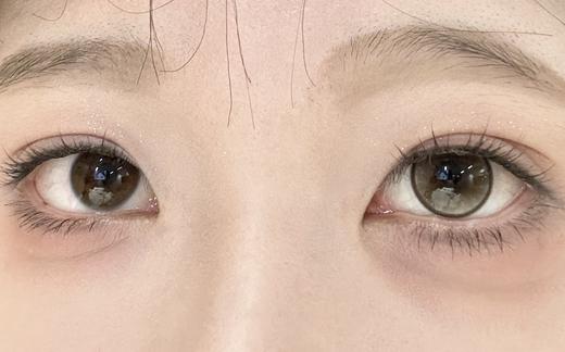 Deerbell鹿小贝新半年抛--布丁狗 商品图5