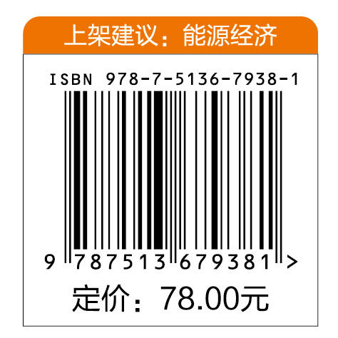 “双碳”背景下节能提高能效问题研究 能源经济文库 双碳节能提高能效 商品图1
