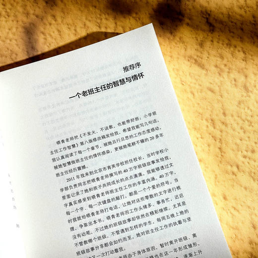 不发火 不说教 也能带好班 小学班主任工作智慧 大夏书系 商品图8