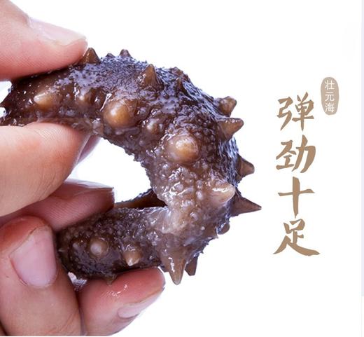 壮元海即食辽刺参大个头组合 500g（6-8头）*3袋，固形物≥80%，送虾仁200g*2袋 商品图3