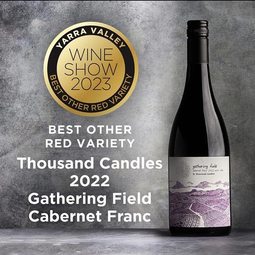 JH95+！预售8折！千烛酒庄欢聚之地 Thousand Candles Gathering Field Pinot Noir/Cabernet Franc/Shiraz Malbec【约1月初发货】 商品图4