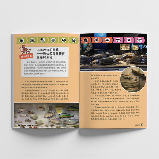【8岁+】迷你博物馆 搭建海博的“今日海洋”展厅+设计海博的“龙的时代”展厅 手绘插画 儿童科普读物 商品图2