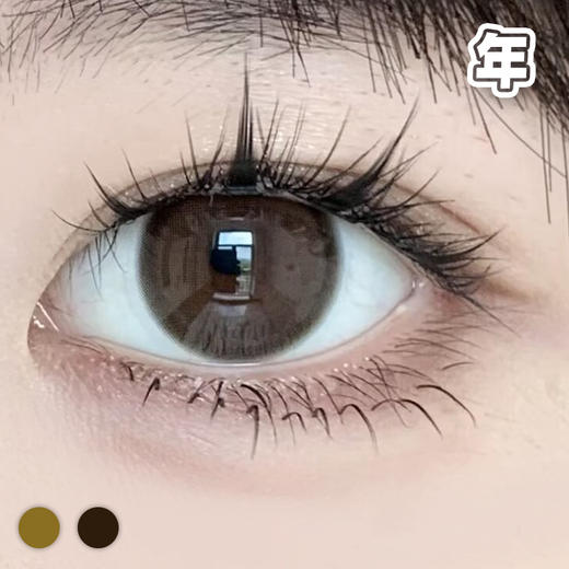 #Pure纯欲奶咖 棕/巧 14.2MM【1片装】 舒适推荐 / 年抛 商品图0