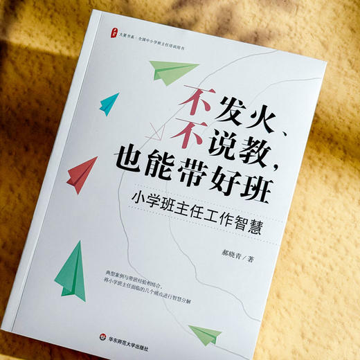 不发火 不说教 也能带好班 小学班主任工作智慧 大夏书系 商品图4