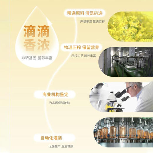 大荒印象小榨香菜籽油5L 商品图2