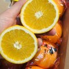 【送礼佳品】迪士尼好奇橙一箱10斤 商品缩略图2
