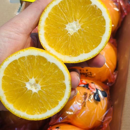 【送礼佳品】迪士尼好奇橙一箱10斤 商品图2