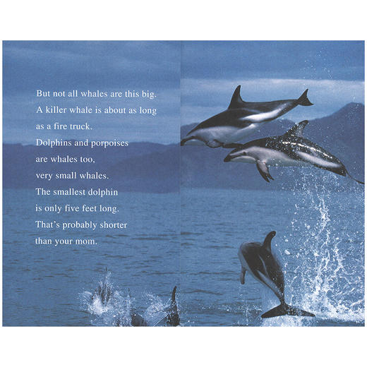 进口英文原版 Amazing 神奇动物系列 6册合售 I can read Level 2 商品图2