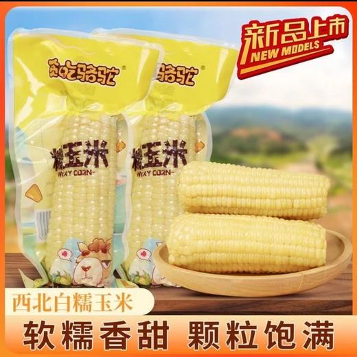 甘味特产主食组合套餐泼辣宽粉3袋+牛肉面3袋+糯玉米10根 商品图7