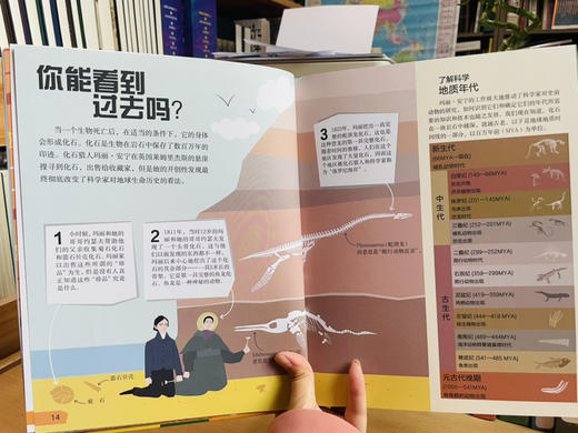 DK了不起的（数学思维+科学思维+哲学思维）全3册 商品图7