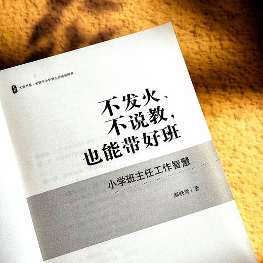 不发火 不说教 也能带好班 小学班主任工作智慧 大夏书系 商品图5
